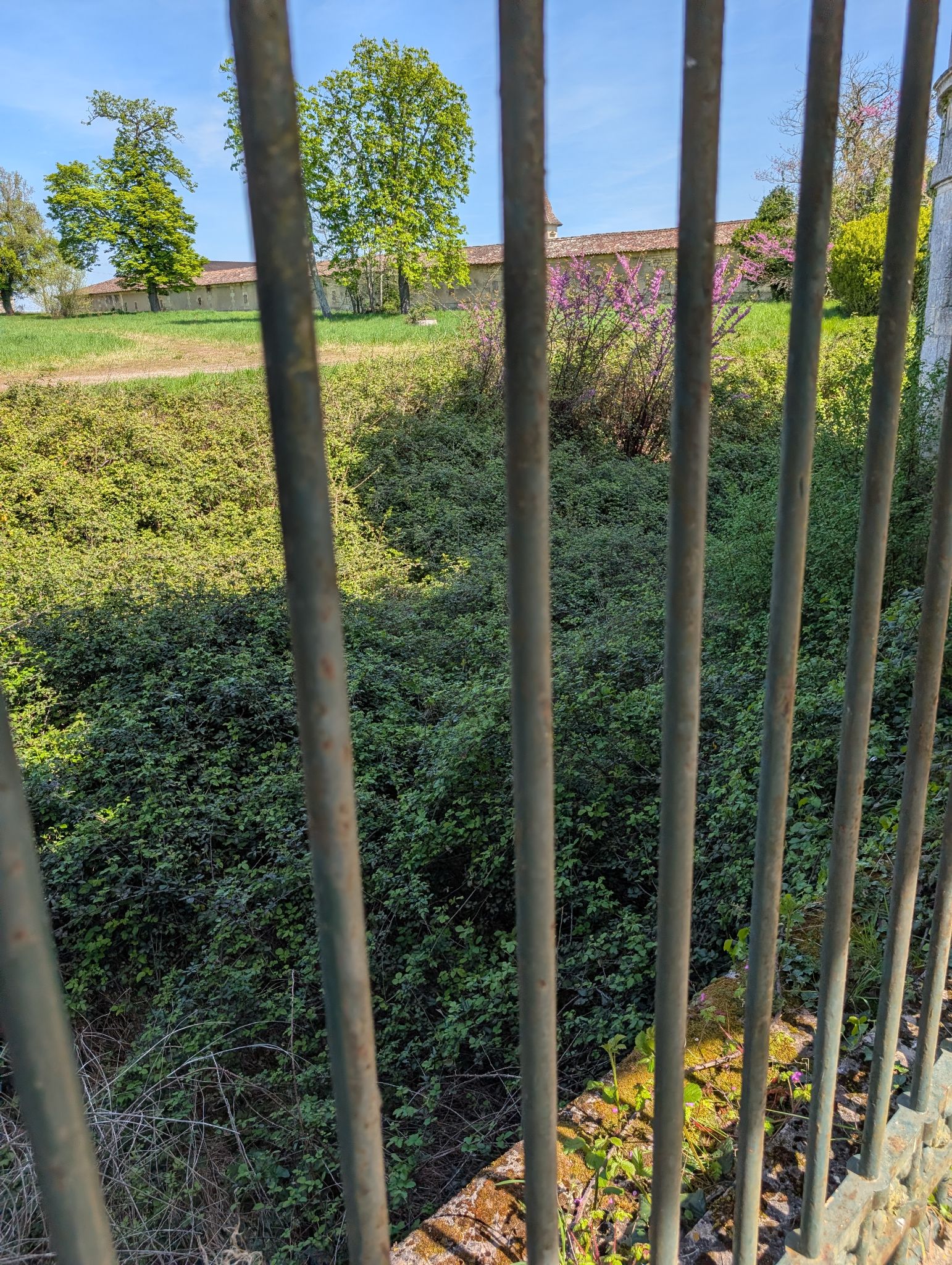 PXL 20260405 120628148