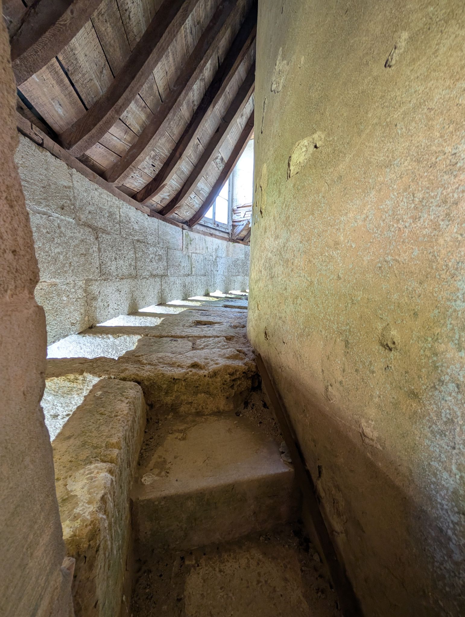 PXL 20260405 123139559